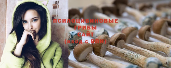 эйфоретик Верхний Тагил