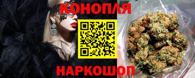 сатива Беслан