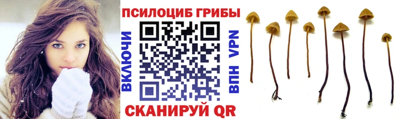 хочу   Вичуга  Галлюциногенные грибы прущие грибы 