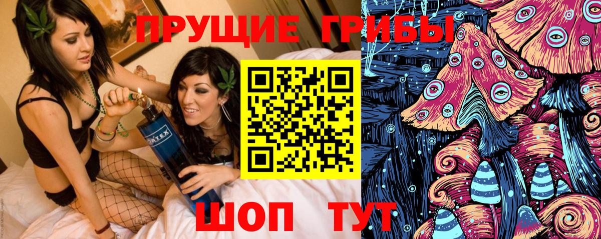 Вичуга  Псилоцибиновые грибы Magic Shrooms  наркошоп  Вход с VPN 